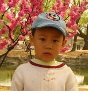 PIPI